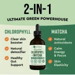 360 Nutrition Liquid Chlorophyll + Matcha Supplement